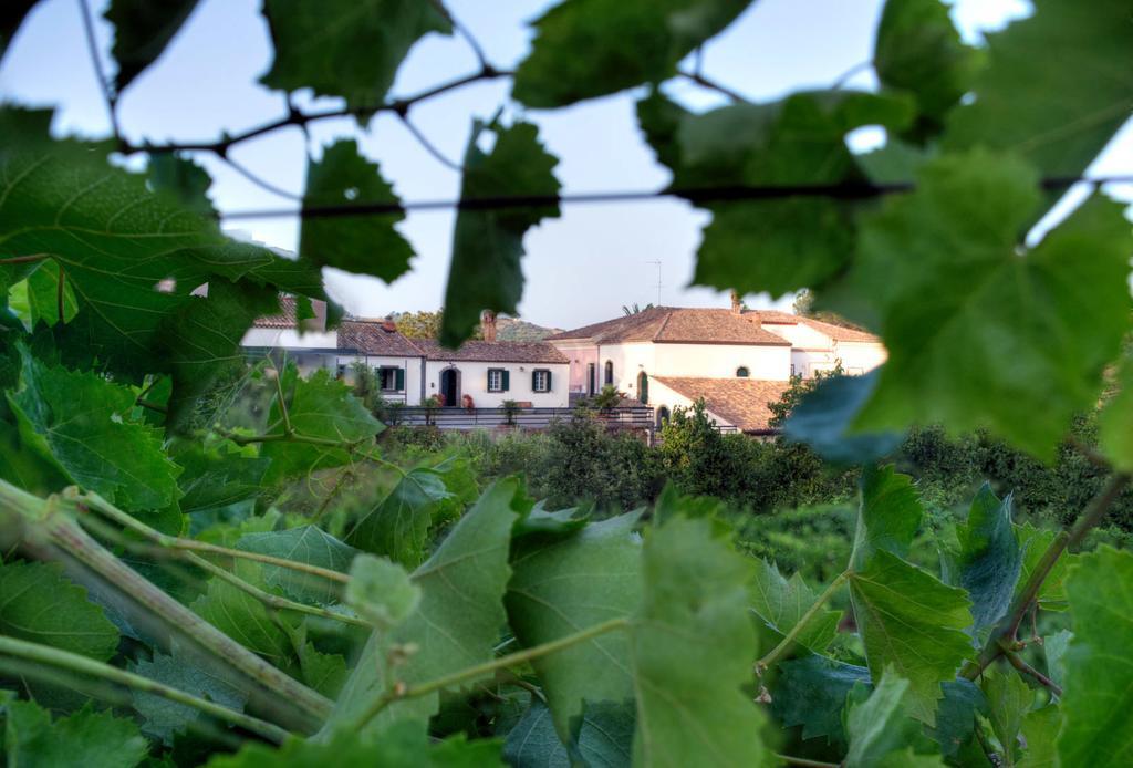 Casa Vacanze Etna Piedimonte Etneo Exterior foto