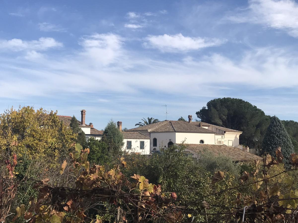 Casa Vacanze Etna Piedimonte Etneo Exterior foto